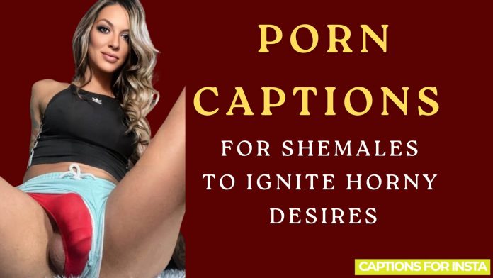 porn captions for shemales